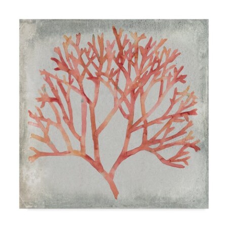 Trademark Fine Art Megan Meagher 'Watercolor Coral Iv' Canvas Art, 24x24 WAG01062-C2424GG